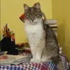 Отзыв от Юлия Мартынова